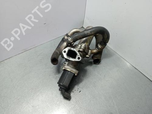 Egr FIAT DOBLO Platform/Chassis (263_) 1.3 D Multijet | BP30968166M69