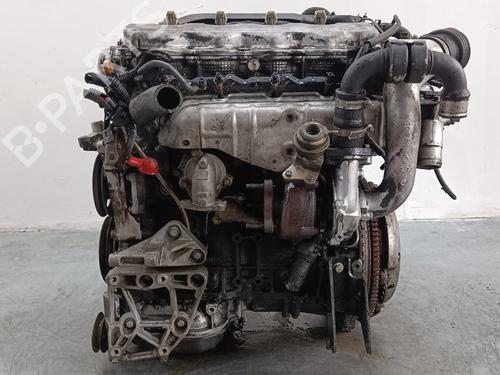 Used Engine NISSAN ALMERA II (N16) 2.2 dCi (136 hp) 17519266
