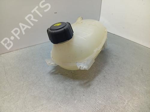 Vase D'Expansion DACIA JOGGER (RK_) | BP30859932C120