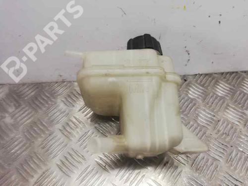 Used Expansion tank NISSAN QASHQAI / QASHQAI +2 I (J10, NJ10, JJ10E) 1.5 dCi (106 hp) 6321378