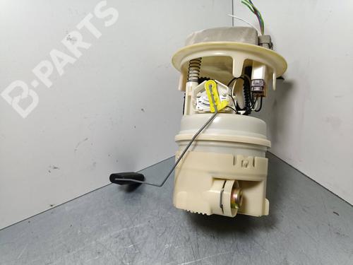 Fuel pump PEUGEOT 206 Hatchback (2A/C)  | BP10958696M76 