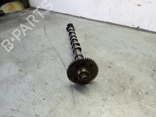 Andre NISSAN NV300 Van (X82) | BP31382362O1