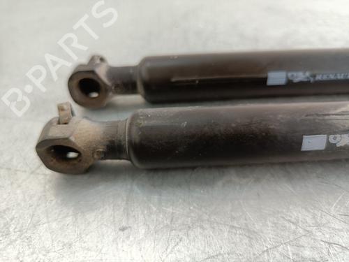 Tailgate lift support RENAULT CLIO IV (BH_)  | BP26437148C138 