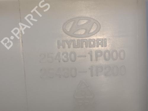 Expansion tank HYUNDAI ix20 (JC) 1.4 | BP14445829C120