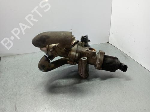 Egr FIAT DOBLO Platform/Chassis (263_) 1.3 D Multijet | BP30968166M69