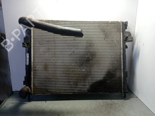 Used Water radiator NISSAN PRIMASTAR Van (X83) 1.9 dCi 100 (100 hp) 27988209