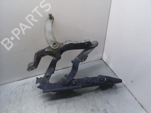 Hinge/Door check strap MERCEDES-BENZ S-CLASS (W221, V221) S 320 CDI (221.022, 221.122) | BP21813844C146 