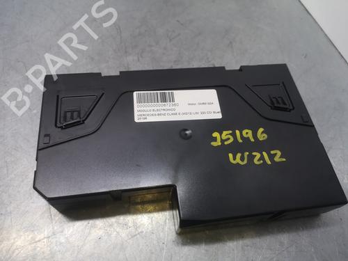 Used Electronic module MERCEDES-BENZ E-CLASS (W212) E 220 CDI / BlueTEC (212.001, 212.002) (170 hp) 19169537