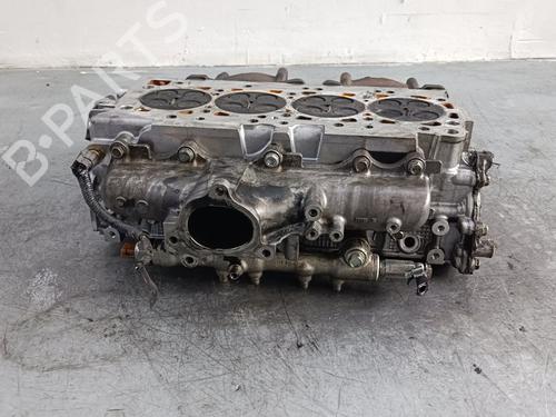 Cylinder head NISSAN PATHFINDER III (R51)  | BP20320301M5 