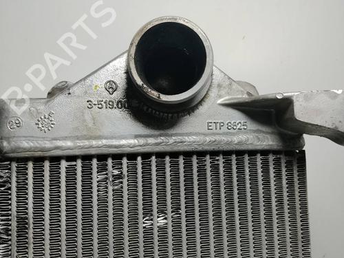 Intercooler NISSAN TERRANO II (R20) | BP30713679M30