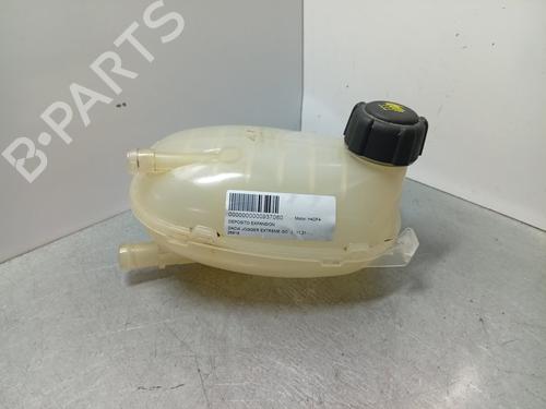 Vase D'Expansion DACIA JOGGER (RK_) | BP30859932C120