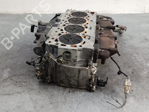 Cylinder head NISSAN PATHFINDER III (R51)  | BP20320301M5 