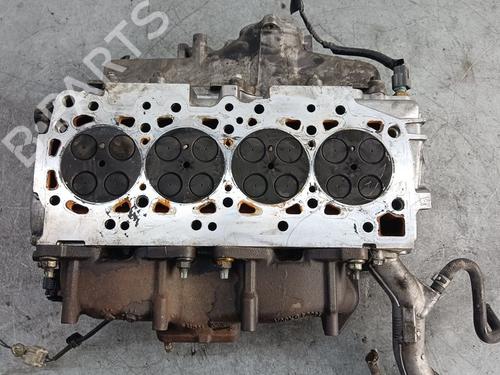 Cylinder head NISSAN PATHFINDER III (R51)  | BP20320301M5 
