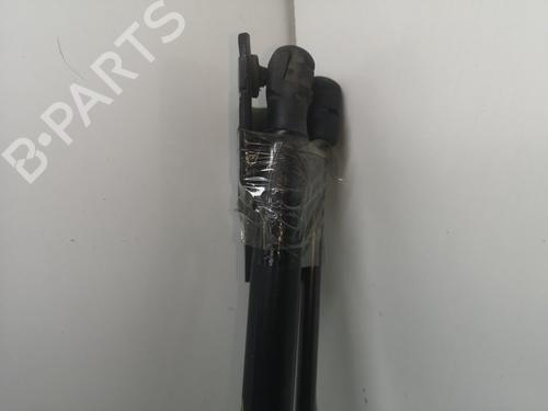 Tailgate lift support FORD FOCUS III 1.6 TDCi | BP14050837C138 