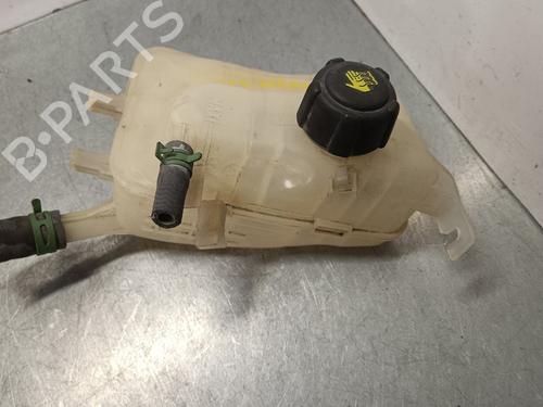 Ausgleichsbehälter für RENAULT MEGANE III Hatchback (BZ0/1_, B3_) 1.5 dCi (86 hp) 29943195