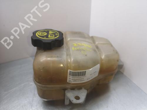 Ekpansionstank OPEL MERIVA B MPV (S10) [2010-2017]null 312806101 | 312806101 |