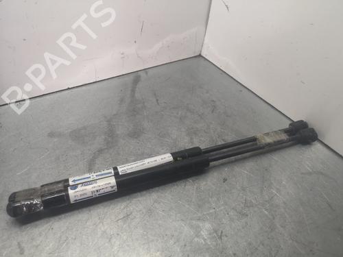 Used Hood lift support LAND ROVER DISCOVERY III (L319) 2.7 TD 4x4 (190 hp) 14050906