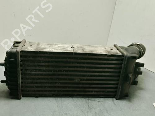 Intercooler Intercooler CITROËN XSARA PICASSO (N68) 1.6 HDi (90 hp) 34102442 34102442