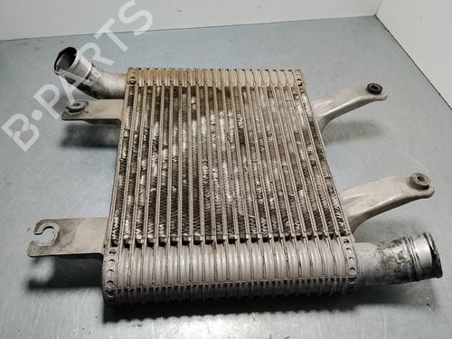 Intercooler HYUNDAI TERRACAN (HP)  | BP29904650M30