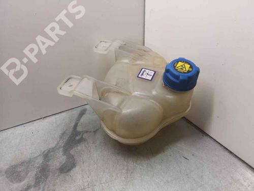 Used Expansion tank FIAT PUNTO (199_) 1.2 (199AXZ1A, 199BXZ1A) (69 hp) 11168142