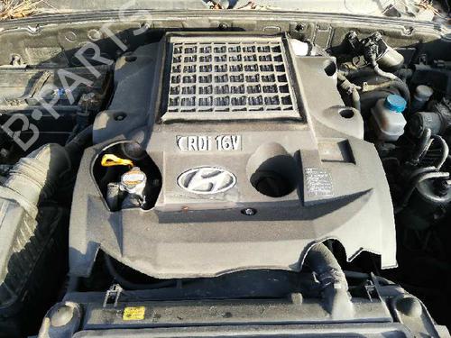 Left front door HYUNDAI TERRACAN (HP)  | BP4236145C2 