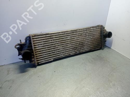 Intercooler NISSAN PRIMASTAR Van (X83) 1.9 dCi 100 (100 hp) 31358210