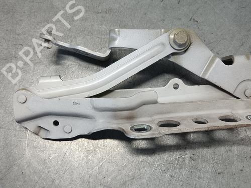 Hinge/Door check strap PEUGEOT 3008 II SUV (MC_, MR_, MJ_, M4_)  | BP29720613C146 