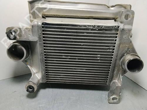 Intercooler NISSAN TERRANO II (R20) [1992-2007]  30713679