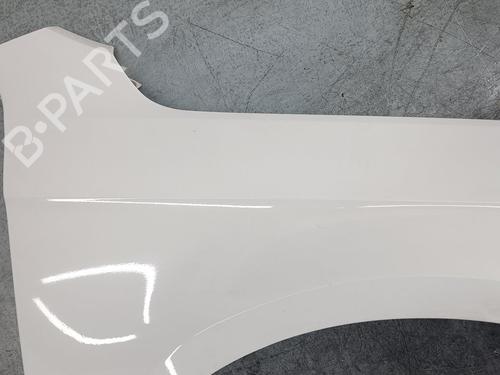 Right front fenders VW PASSAT B7 (362) 1.6 TDI | BP16830292C42 