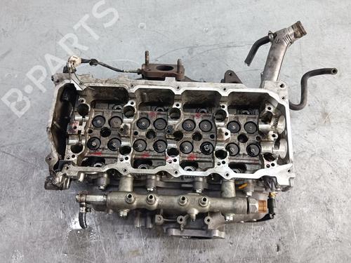 Cylinder head NISSAN PATHFINDER III (R51)  | BP20320301M5 