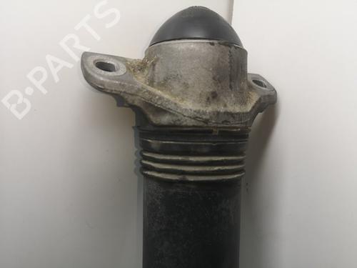 Right rear shock absorber SEAT LEON (5F1)  | BP12496769M19 