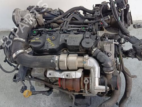 Used Engine Engine FORD FIESTA VI (CB1, CCN) 1.4 TDCi (70 hp) 19944050 19944050