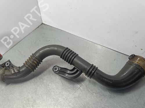 Pipe NISSAN QASHQAI II (J11, J11_) | BP30133812M125
