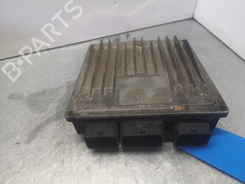 Used Engine control unit (ECU) RENAULT MEGANE II (BM0/1_, CM0/1_) [2001-2012]  12599052