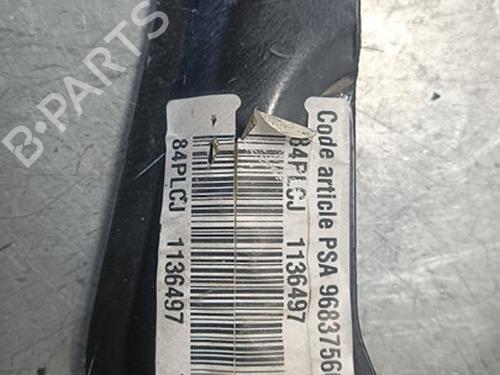 Break pedal CITROËN C3 III Van (SX_, SY_)  | BP29360425I19 