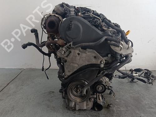 Used Engine Engine VW PASSAT B7 (362) 1.6 TDI (105 hp) 16839593 16839593