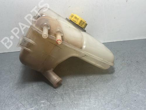 Expansion tank FORD TOURNEO CONNECT 1.8 TDCi | BP29871291C120