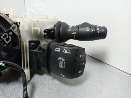 Switch RENAULT SCÉNIC III (JZ0/1_)  | BP21519398I30 