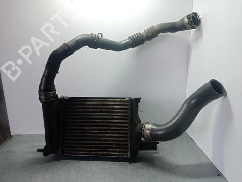 Intercooler DACIA DOKKER MPV (KE_) [2012-2021]  31803546