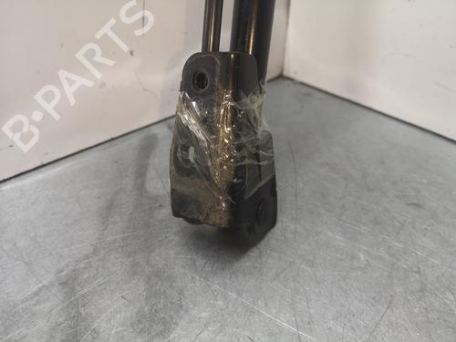 Tailgate lift support FORD FOCUS III 1.6 TDCi | BP14050837C138 