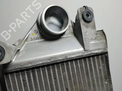 Intercooler NISSAN TERRANO II (R20) | BP30713679M30