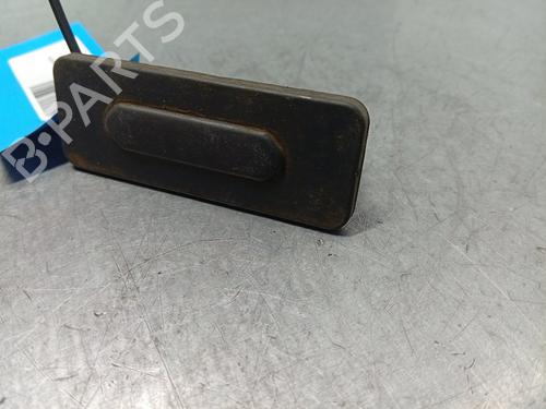 Heckklappengriff DACIA JOGGER (RK_) | BP30471714C132