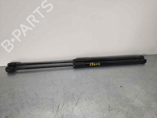 Used Tailgate lift support SKODA RAPID (NH3, NK3, NK6) 1.0 TSI (110 hp) 14050313