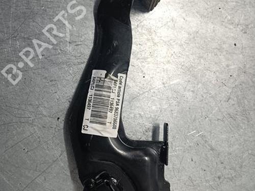 Break pedal CITROËN C3 III Van (SX_, SY_)  | BP29360425I19 