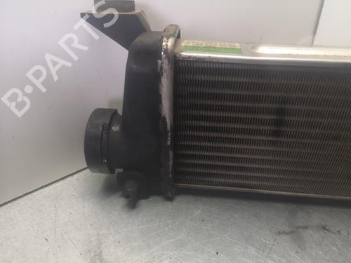 Intercooler MERCEDES-BENZ VANEO (414) 1.7 CDI (414.700) | BP12498209M30 