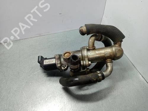Used Egr FIAT DOBLO Platform/Chassis (263_) 1.3 D Multijet (90 hp) 30968166