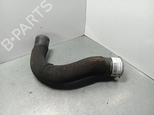 Used Pipe DACIA JOGGER (RK_) [2021-2025]  30942523