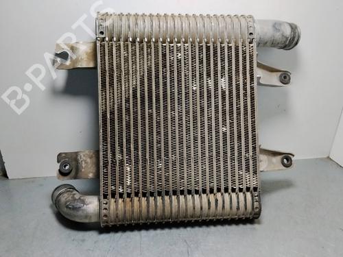 Used Intercooler HYUNDAI TERRACAN (HP) [2001-2008]  29904650