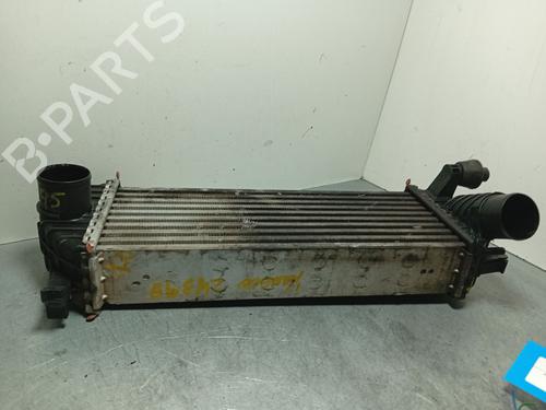 Intercooler RENAULT KANGOO Express (FW0/1_) 1.5 dCi 85 (FW0K, FW0L, FW0B) | BP38072483M30 - Image 2