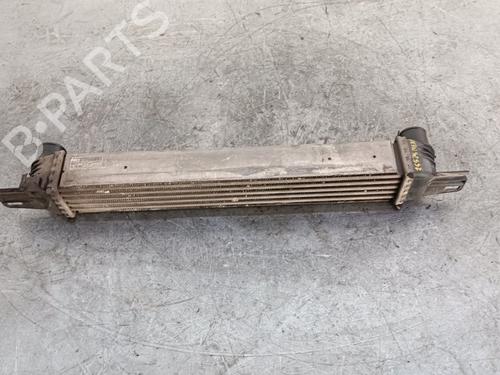 Used Intercooler CITROËN NEMO Box Body/MPV (AA_) [2008-2025]  22373413